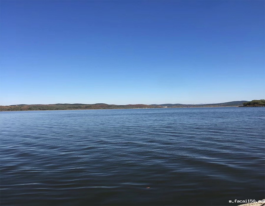 沈阳米兰体育app手机下载最新版本安装激光拓展训练-团结就是力量